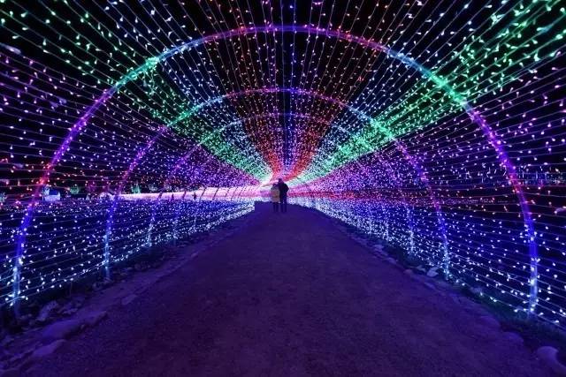 银川真的适合带孩子去吗,银川免费好玩的地方推荐