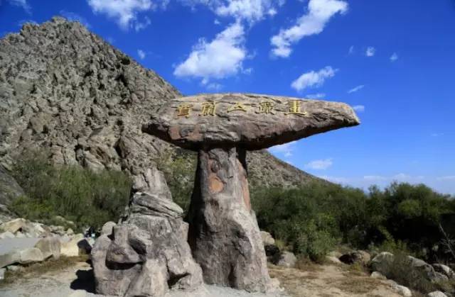 银川真的适合带孩子去吗,银川免费好玩的地方推荐