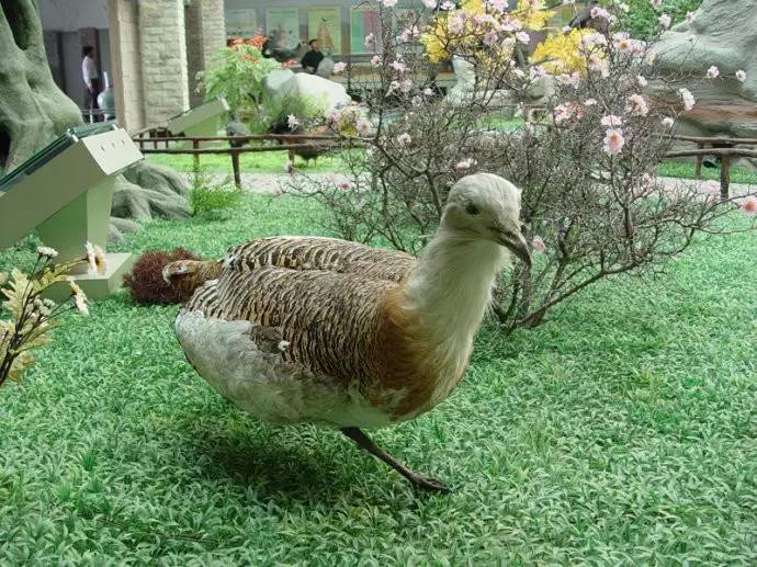 银川真的适合带孩子去吗,银川免费好玩的地方推荐