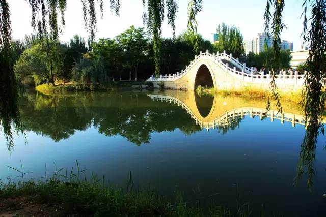 银川真的适合带孩子去吗,银川免费好玩的地方推荐