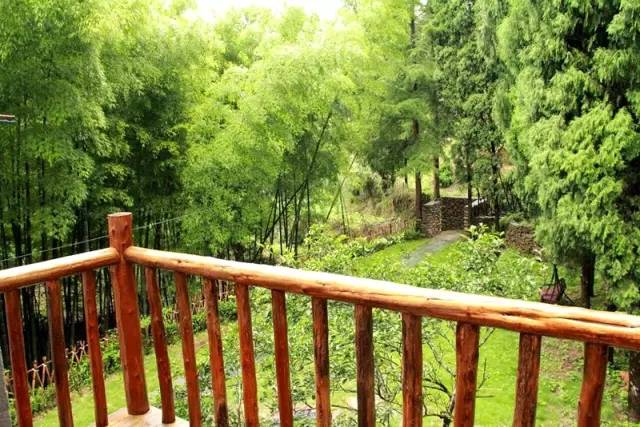 东南第一山私藏浙南最美的风情,浙江山林美宿攻略