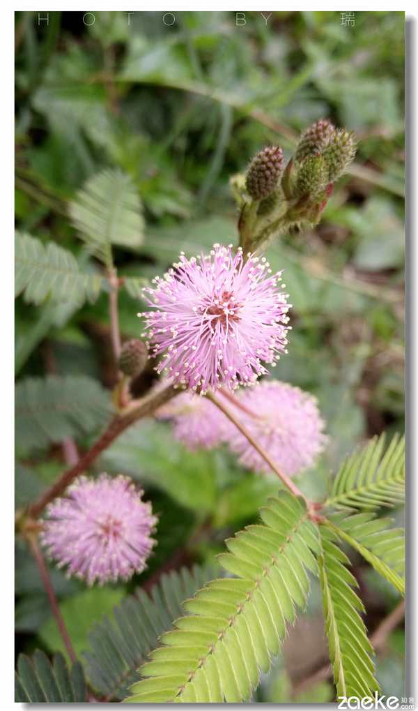 vivox60进游戏的速度,vivox6手机进入fastboot模式