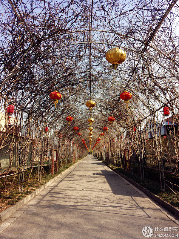 美图v4s手机,美图v4手机怎么样