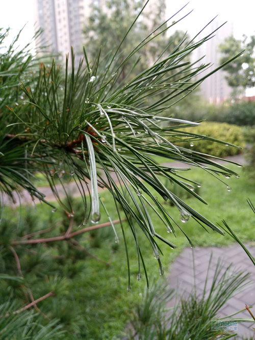 乐2pro手机好用吗,乐2pro评测视频