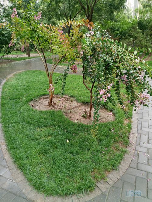 乐2pro手机好用吗,乐2pro评测视频