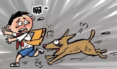 狗狗狂犬病疫情实时最新通报,狂犬病来袭请大家远离恶犬