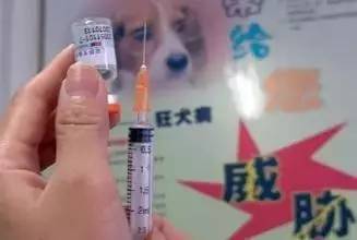 狗狗狂犬病疫情实时最新通报,狂犬病来袭请大家远离恶犬