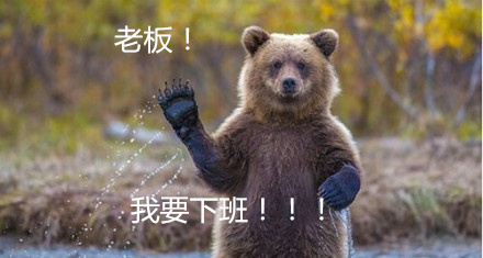 微信账号显示应用,听说微信可以看到朋友在干什么