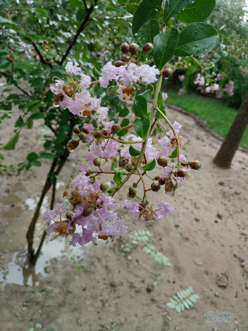 乐2pro手机好用吗,乐2pro评测视频