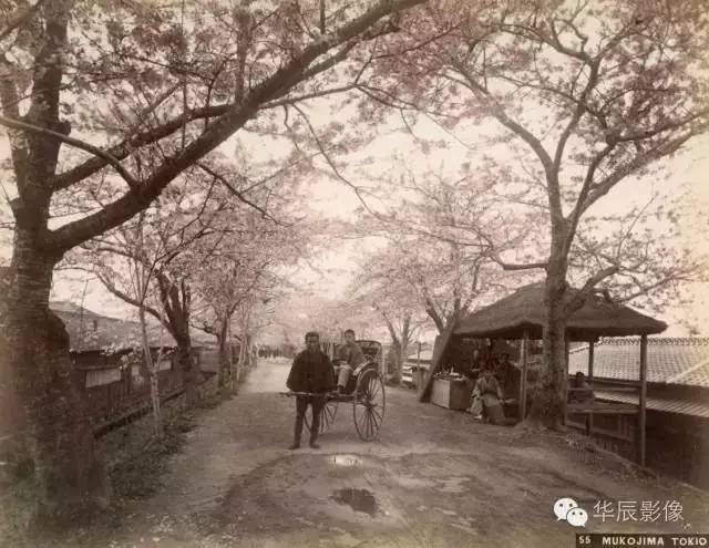 毕加索半框眼镜,毕加索复古眼镜