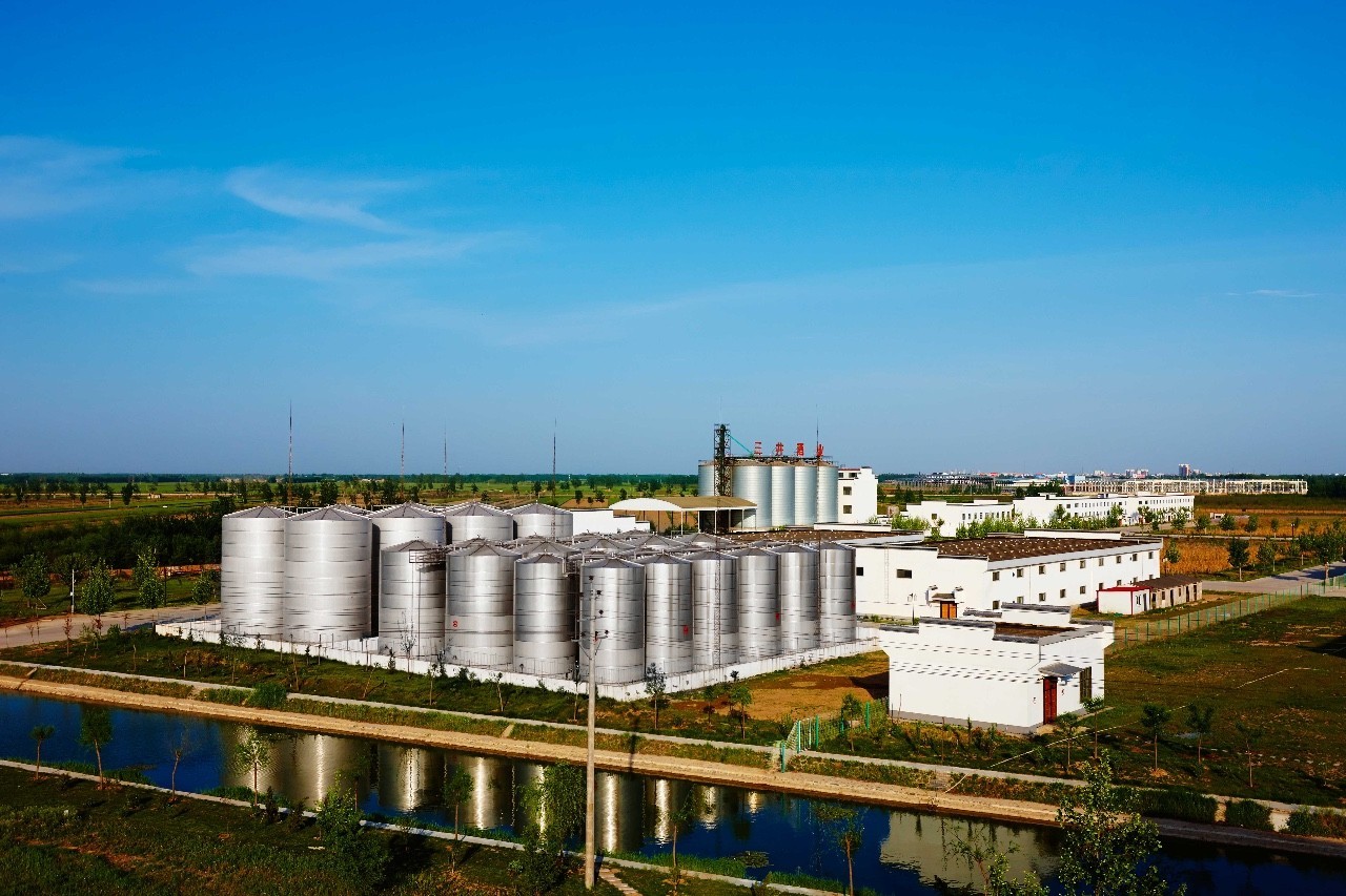 年销售破百亿的酒厂,年销售过百亿的白酒品牌