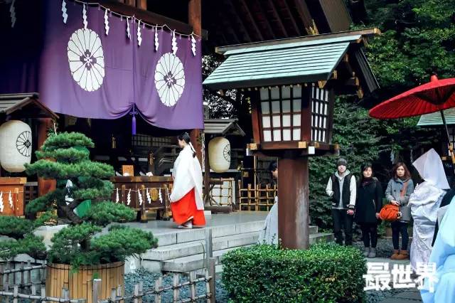 这个东京,怎么和我朋友圈里的那个不大一样?