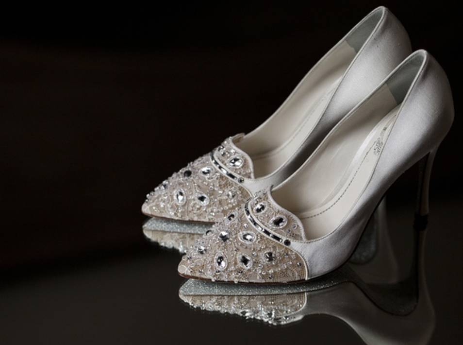 娱乐圈的虐狗行为,娱乐圈虐狗事件