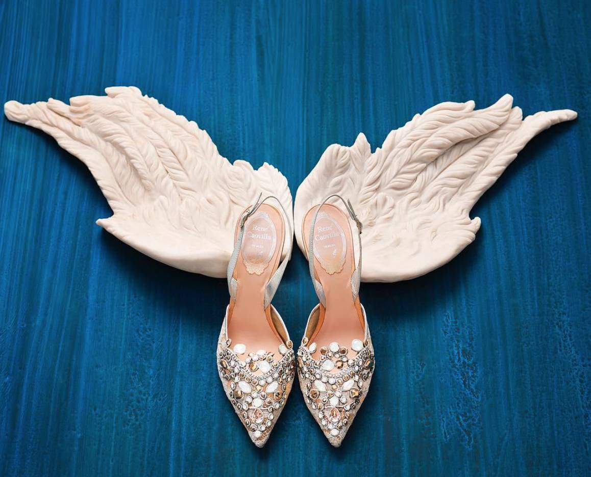 娱乐圈的虐狗行为,娱乐圈虐狗事件