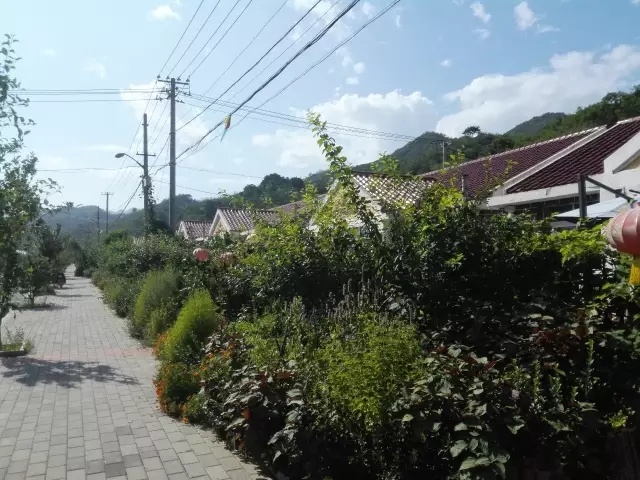 夏天天气这么热适合去哪儿玩,大暑去哪里玩比较凉快