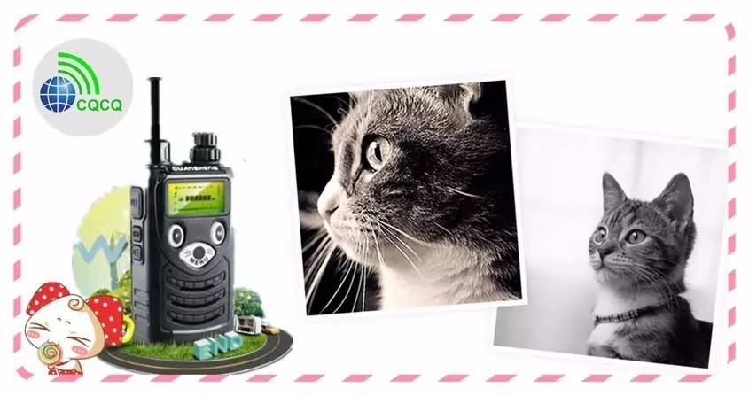 泉盛tg-k200对讲机说明书,泉盛对讲机tg-k200