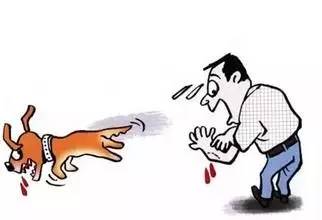 狗狗狂犬病疫情实时最新通报,狂犬病来袭请大家远离恶犬