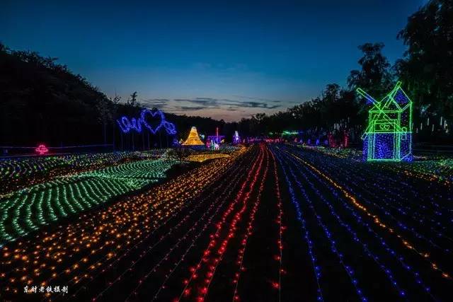 五彩斑斓的灯光夜晚,夜晚的璀璨灯光