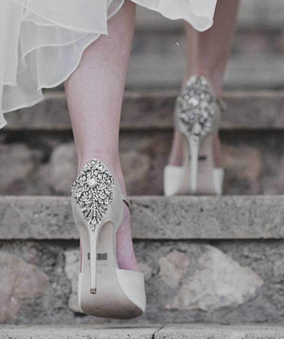 娱乐圈的虐狗行为,娱乐圈虐狗事件