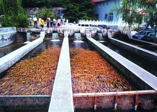 夏天天气这么热适合去哪儿玩,大暑去哪里玩比较凉快