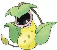 国内怎么玩pokemongo2020,大陆怎么才可以玩pokemongo