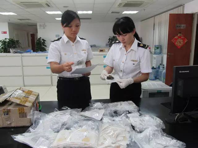 国内怎么玩pokemongo2020,大陆怎么才可以玩pokemongo