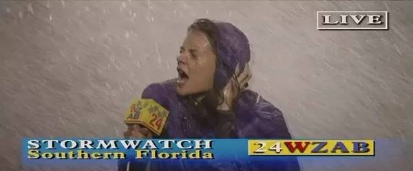 布拉德皮特没戏拍,布拉德皮特为啥不拍电影了