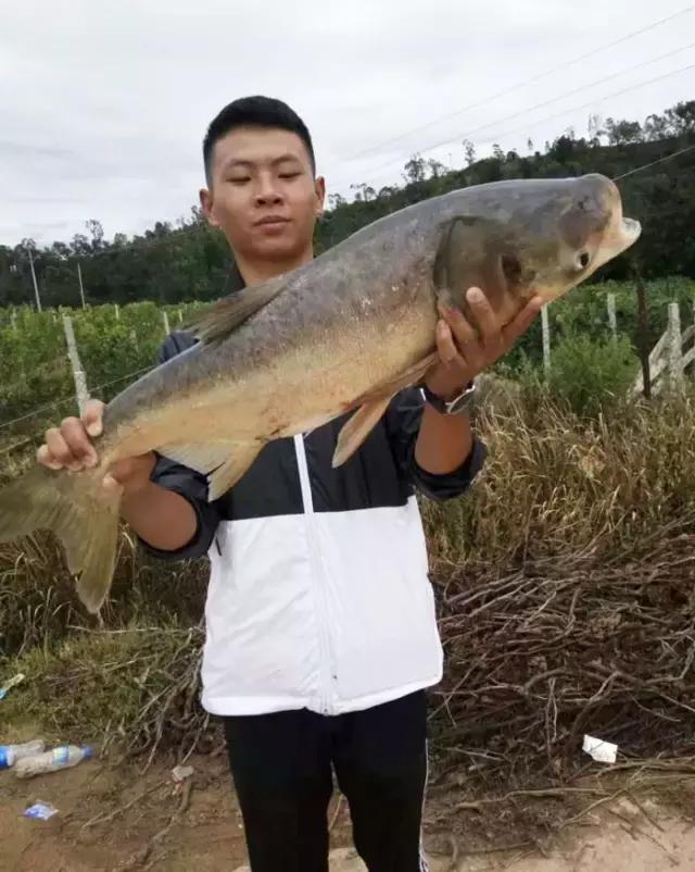 娓旇幏閽撻奔,娓旇幏鎴樻姤