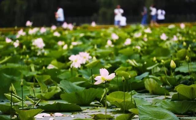 等我老了，就在大连这样过|终极版
