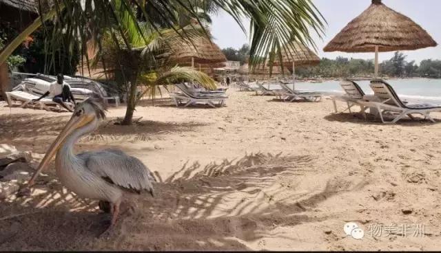 去塞内加尔有什么好处,去塞内加尔需要签证吗