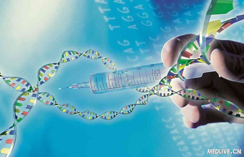 哪些病遗传后代几率高,遗传的基本规律及人类遗传病