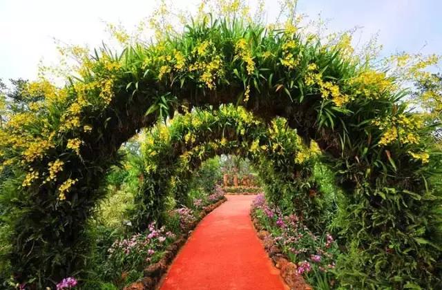 深圳东部华侨城60岁免费的景区,深圳东部华侨城两天一夜攻略