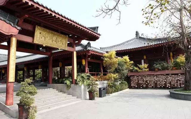 深圳东部华侨城60岁免费的景区,深圳东部华侨城两天一夜攻略