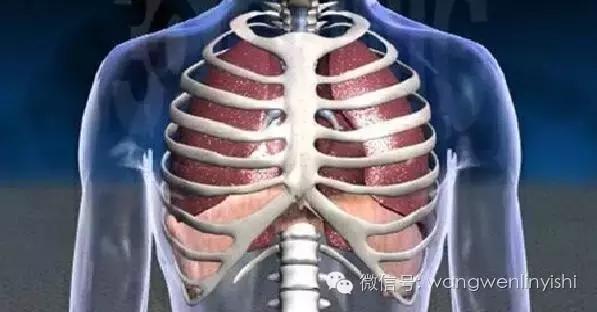 漏斗胸的治疗方法和注意事项,漏斗胸的正确解决方法