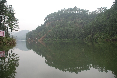 白云山林海风景,资中县白云山风景区