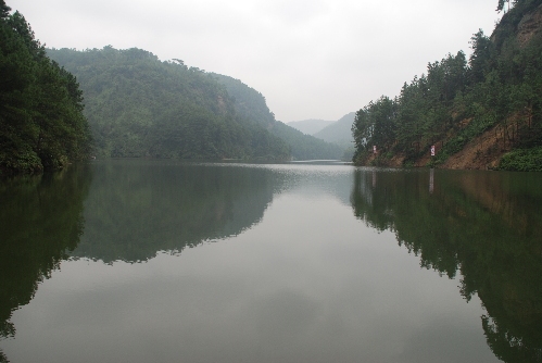 白云山林海风景,资中县白云山风景区