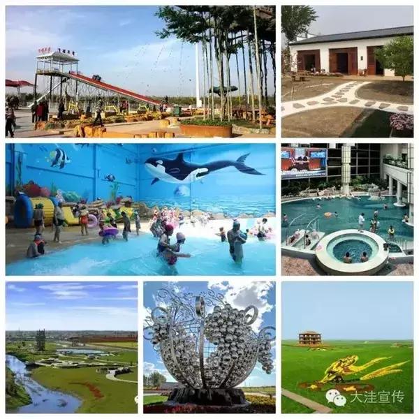 五载流金岁月 铸就风华大洼