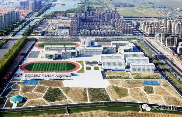 五载流金岁月 铸就风华大洼