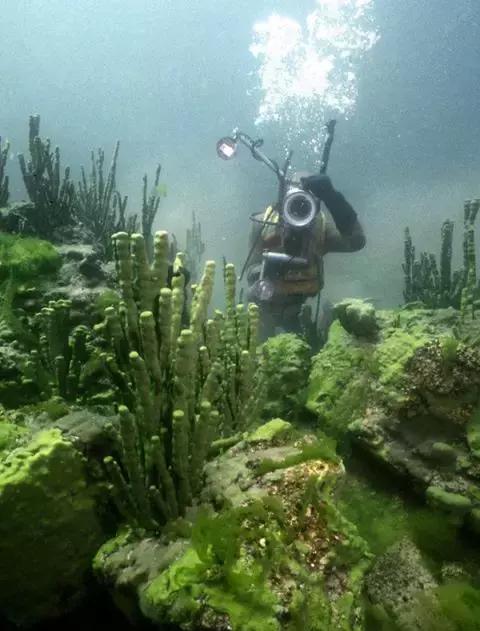 比东南亚划算还免签，只要1W，就能到俄国最美的贝加尔湖！