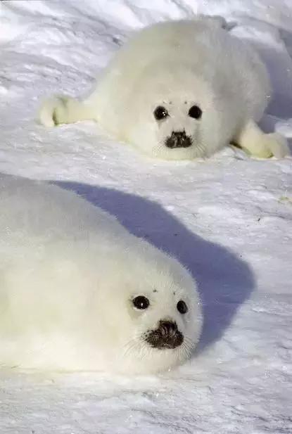 比东南亚划算还免签，只要1W，就能到俄国最美的贝加尔湖！