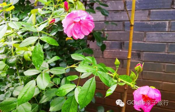 杭州亲子美食推荐,杭州景区民宿推荐亲子餐