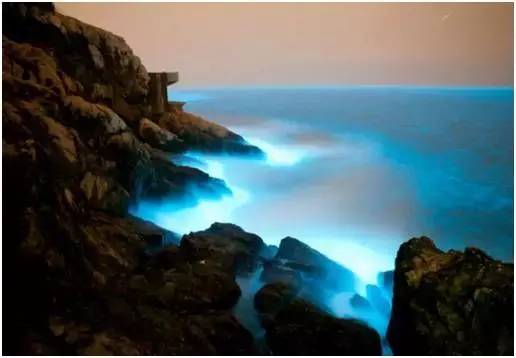 福鼎嵛山岛游玩朋友圈,渔山列岛打卡