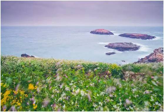 福鼎嵛山岛游玩朋友圈,渔山列岛打卡
