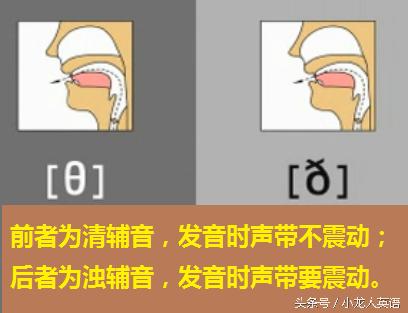 辅音28个音标大图讲解,音标5个元音和19个辅音讲解