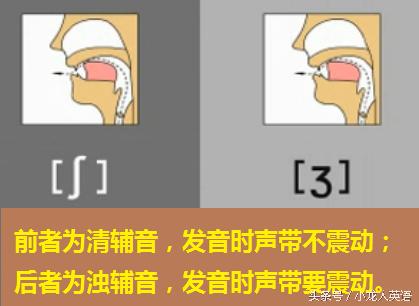 辅音28个音标大图讲解,音标5个元音和19个辅音讲解