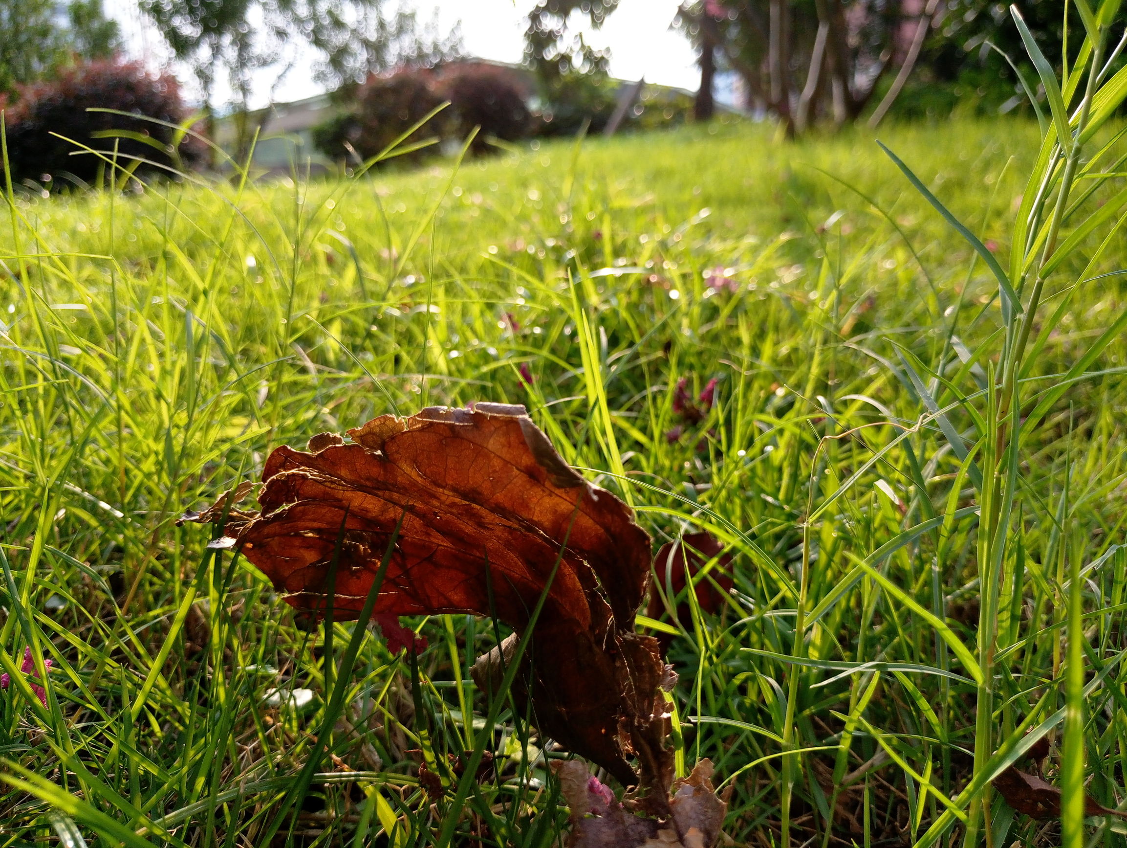 魅族mx6深度解析,国际版魅族mx6评测