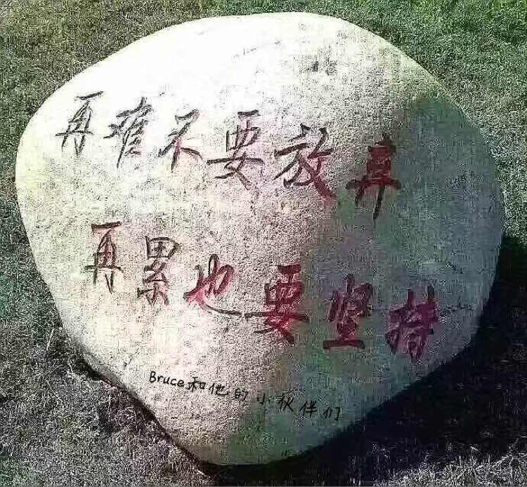 微商新手入门必备条件及知识,微商新手入门基础知识