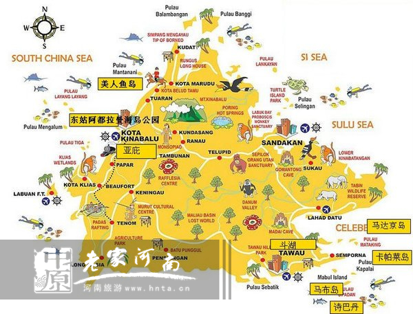 金秋沙巴游 (暑假去沙巴旅游攻略)