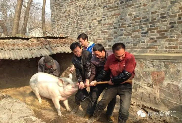 有钱没钱回家过年完整版,有钱没钱回家杀猪过年