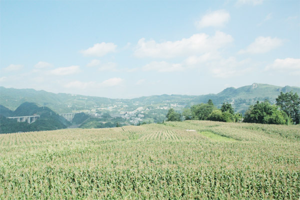 在农村创业的意义,在农村创业如何赚钱